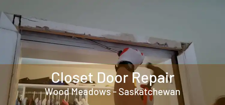 Closet Door Repair Wood Meadows - Saskatchewan