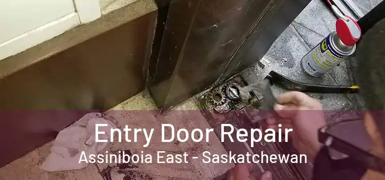 Entry Door Repair Assiniboia East - Saskatchewan