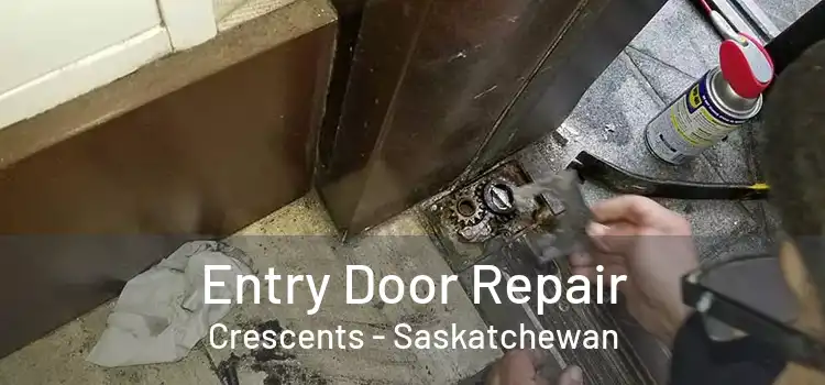 Entry Door Repair Crescents - Saskatchewan