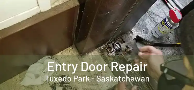 Entry Door Repair Tuxedo Park - Saskatchewan