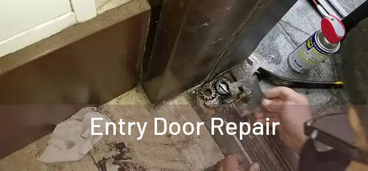 Entry Door Repair 