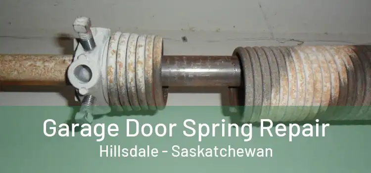 Garage Door Spring Repair Hillsdale - Saskatchewan