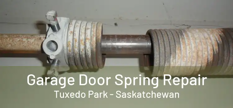 Garage Door Spring Repair Tuxedo Park - Saskatchewan