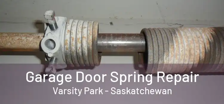 Garage Door Spring Repair Varsity Park - Saskatchewan