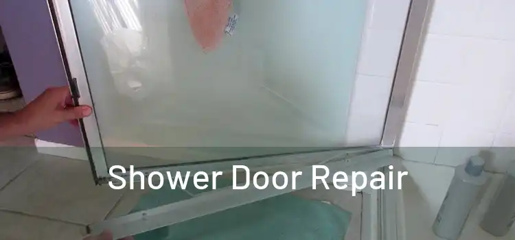 Shower Door Repair 